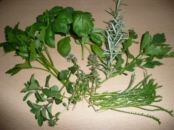 Rezept: würziger Brot-Kräuter-Fladen der Zweite Bild Nr. 3 würziger Brot-Kräuter-Fladen der Zweite - Rezept - Bild Nr. 3