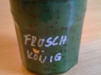 Kiwi - Ananas - Marmelade - Rezept