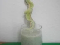 Rezept: Gurken-Drink Gurken-Drink - Rezept