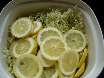Rezept: Getränke: Holunderblütensirup Bild Nr. 2 Getränke: Holunderblütensirup - Rezept - Bild Nr. 2