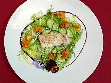 Rezept: Wildfanghecht mit marinierten Gurken und Pfifferlingen Wildfanghecht mit marinierten Gurken und Pfifferlingen - Rezept