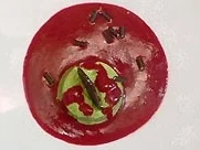 Avocadomousse mit Himbeer-Minz-Püree - Rezept