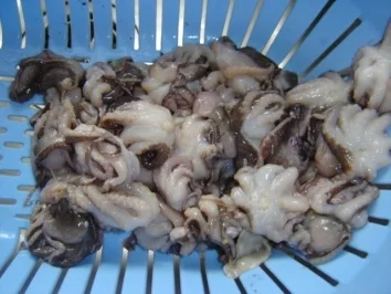 Rezept: CALAMARI FARCITI IN SALSA POMODORO E CALAMARETTI Bild Nr. 3 CALAMARI FARCITI IN SALSA POMODORO E CALAMARETTI - Rezept - Bild Nr. 3