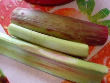 Rhabarber-Süßkirsch-Konfitüre - Rezept - Bild Nr. 3