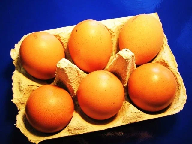 Mohnbisquit - Tortenboden - Rezept