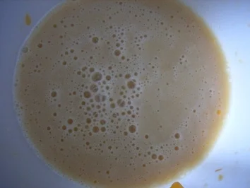 Rezept: Drinks: A-Ba-Milch Bild Nr. 5 Drinks: A-Ba-Milch - Rezept - Bild Nr. 5