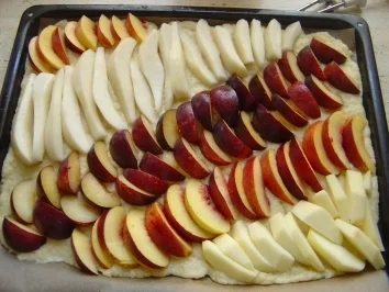 Rezept: Quark-Öl-Teig für Obst kuchen Bild Nr. 5 Quark-Öl-Teig für Obst kuchen - Rezept - Bild Nr. 5