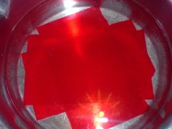 Erdbeermouse - Rezept - Bild Nr. 7