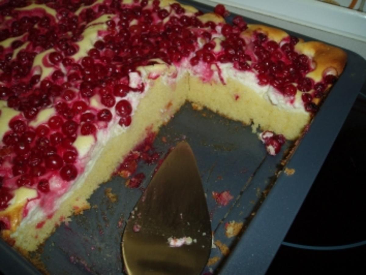 Bilder für Ribisel - Topfenkuchen - Rezept