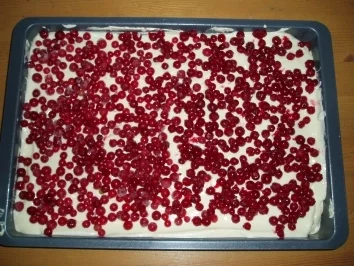 Rezept: Ribisel - Topfenkuchen Bild Nr. 3 Ribisel - Topfenkuchen - Rezept - Bild Nr. 3