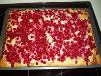 Rezept: Ribisel - Topfenkuchen Bild Nr. 4 Ribisel - Topfenkuchen - Rezept - Bild Nr. 4