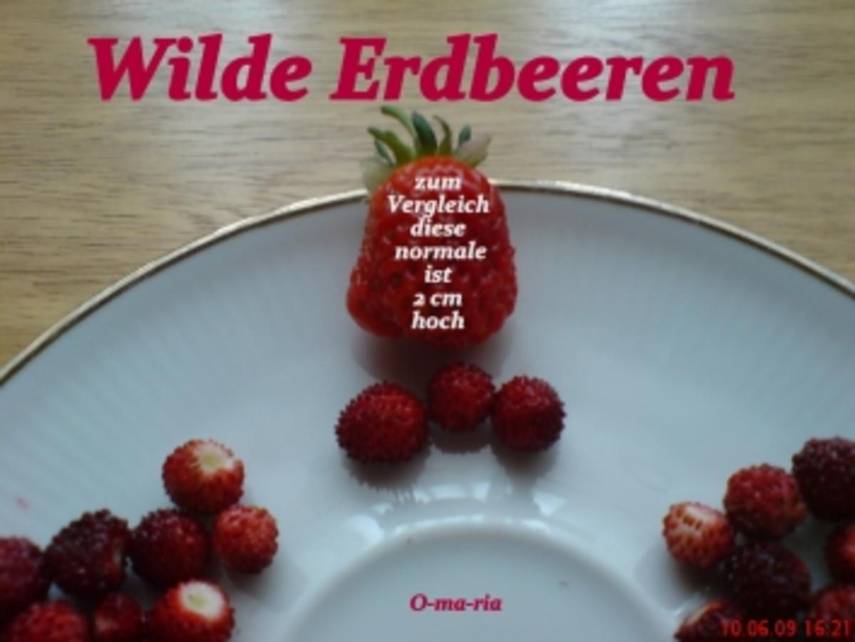 Sonstiges  Wilde Erdbeeren - Rezept - Bild Nr. 3