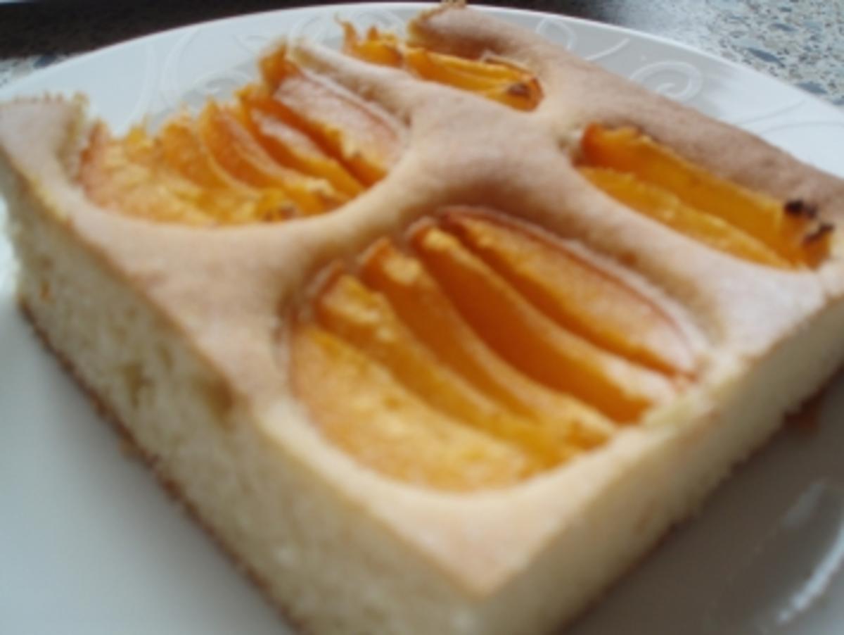 Marillenkuchen  ****  Obstkuchen - Rezept