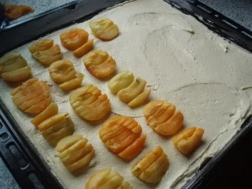 Rezept: Marillenkuchen **** Obstkuchen Bild Nr. 3 Marillenkuchen **** Obstkuchen - Rezept - Bild Nr. 3