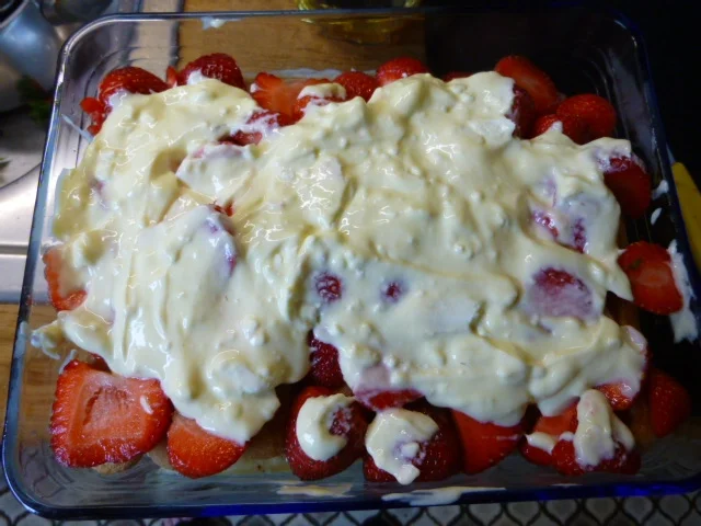 Erdbeer-Tiramisu - Rezept - Bild Nr. 232