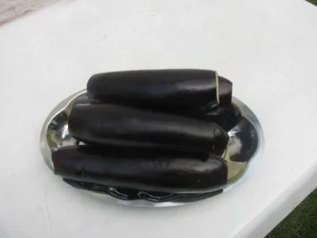 PATLICAN-KEBAB    Auberginen-Kebap - Rezept - Bild Nr. 2