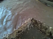 Haselnusskuchen mit Schokostückchen - Rezept