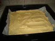 Marillenkuch ( Blechkuchen) - Rezept