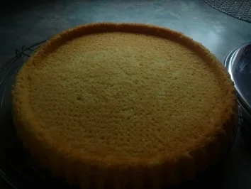 Heidelbeerkuchen - Rezept - Bild Nr. 2