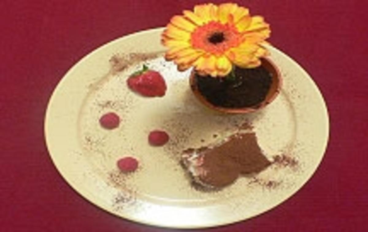 Bilder für Aprikosen-Tiramisu an Früchten und Eisblume - Rezept