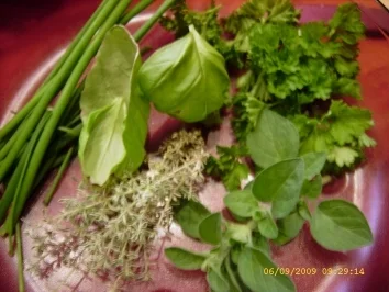 Rezept: Bruschetta Bild Nr. 9 Bruschetta - Rezept - Bild Nr. 9