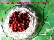 Sueßspeisen  Wilde Erdbeeren im 7. Himmel - Rezept