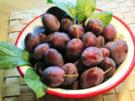 Pflaumentopf mit Rum - Rezept