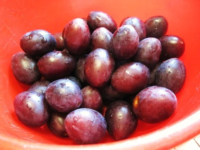 Pflaumentopf mit Rum - Rezept - Bild Nr. 2