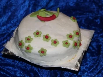 Aprikosen Biskuit - Rezept