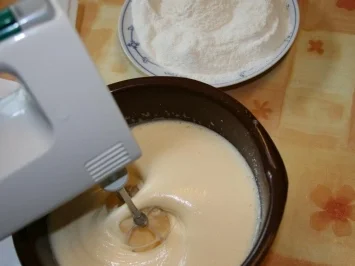 Aprikosen Biskuit - Rezept - Bild Nr. 4