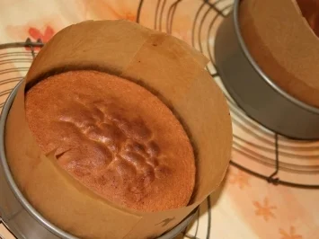 Aprikosen Biskuit - Rezept - Bild Nr. 6