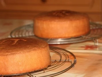 Aprikosen Biskuit - Rezept - Bild Nr. 7