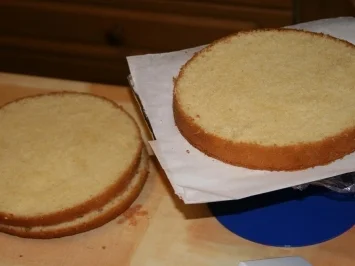 Aprikosen Biskuit - Rezept - Bild Nr. 8