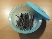 Rezept: Vanillezucker selbstgemacht Vanillezucker selbstgemacht - Rezept