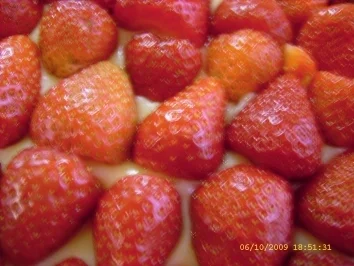 Rezept: Erdbeerschnitten Bild Nr. 6 Erdbeerschnitten - Rezept - Bild Nr. 6