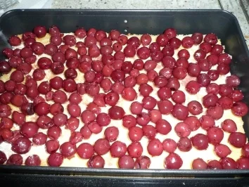 Rezept: Kirsch-Quark-Schnitten Bild Nr. 4 Kirsch-Quark-Schnitten - Rezept - Bild Nr. 4