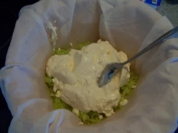 Dsadsiggi - Rezept - Bild Nr. 4