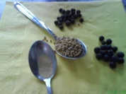 Senf-Gewürz á la Tanni - Rezept