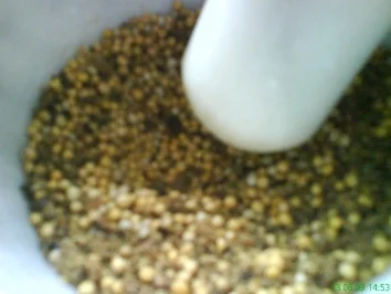 Senf-Gewürz á la Tanni - Rezept - Bild Nr. 3