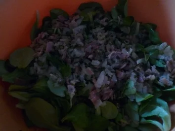 Rezept: Feldsalat Feldsalat - Rezept