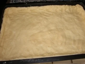 Rezept: Johannisbeerkuchen mit Haselnüssen Bild Nr. 3 Johannisbeerkuchen mit Haselnüssen - Rezept - Bild Nr. 3