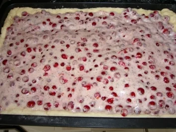 Rezept: Johannisbeerkuchen mit Haselnüssen Bild Nr. 4 Johannisbeerkuchen mit Haselnüssen - Rezept - Bild Nr. 4