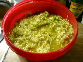 Holunderblütengellee - Rezept