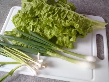 Mangold Nudeln *Vegetarisch* - Rezept - Bild Nr. 2