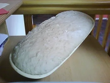 Bauernbrot mit Sonnenblumenkernen - Rezept - Bild Nr. 3