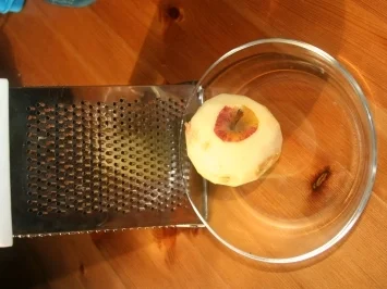 Apfelmus für gestresste Mamis - Rezept - Bild Nr. 2