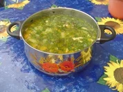 Frischer Kohlrabi-Möhreneintopf - Rezept