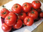 Rezept: Kalte Tomatensoße ... Kalte Tomatensoße ... - Rezept