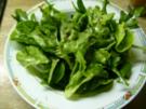 grüner Salat mit Ruccola - Rezept