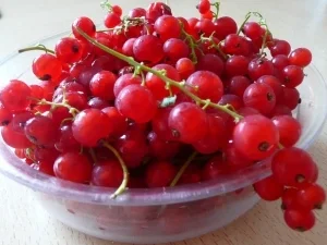 Rezept: Ein nettes Mitbringsel aus der Küche Bild Nr. 2 Ein nettes Mitbringsel aus der Küche - Rezept - Bild Nr. 2